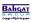 Bahgat Group